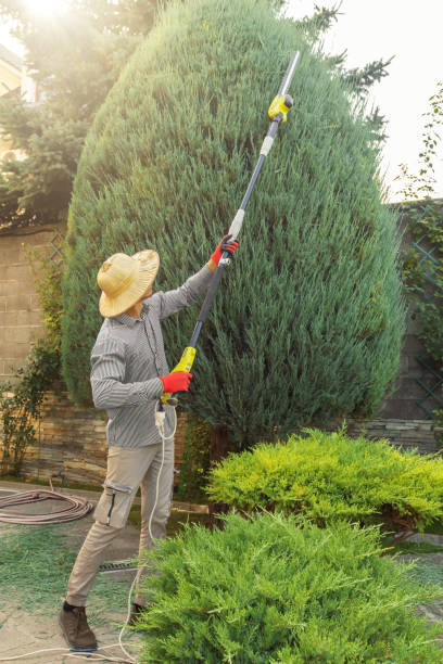 Best Lawn Irrigation Installation and Maintenance  in Bakerstown, PA